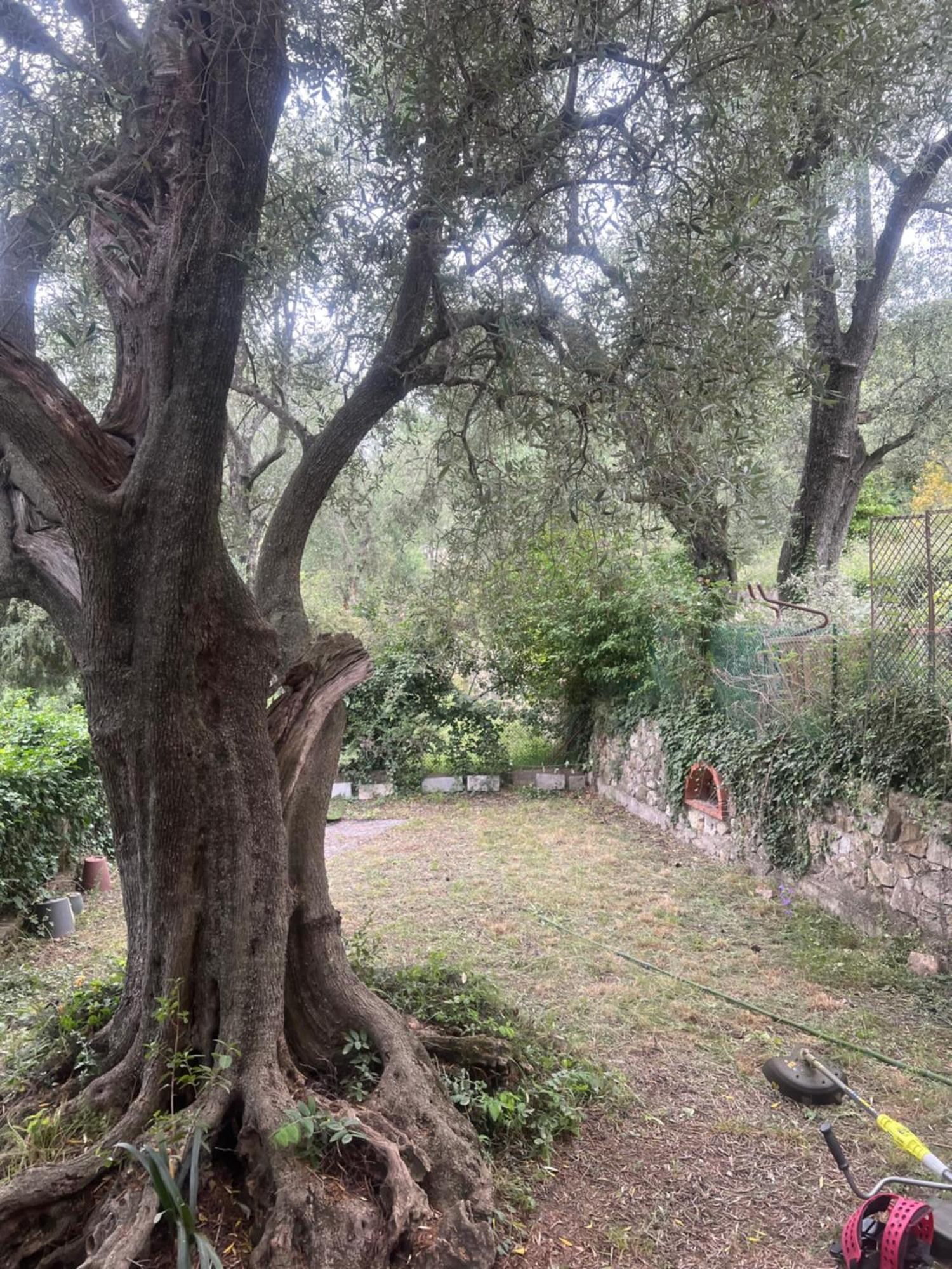 Bas De Villa Vue Mer Eze Village 외부 사진