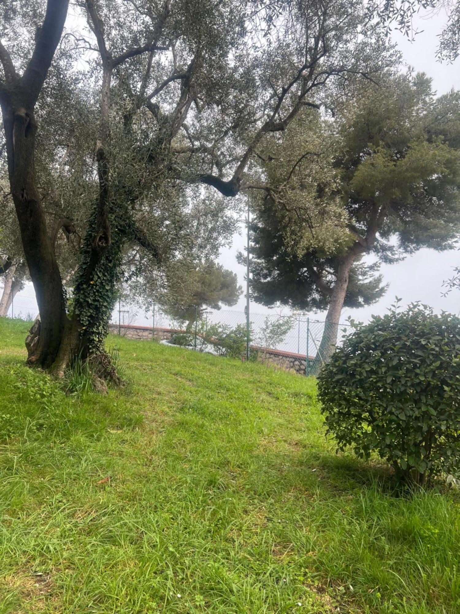 Bas De Villa Vue Mer Eze Village 외부 사진