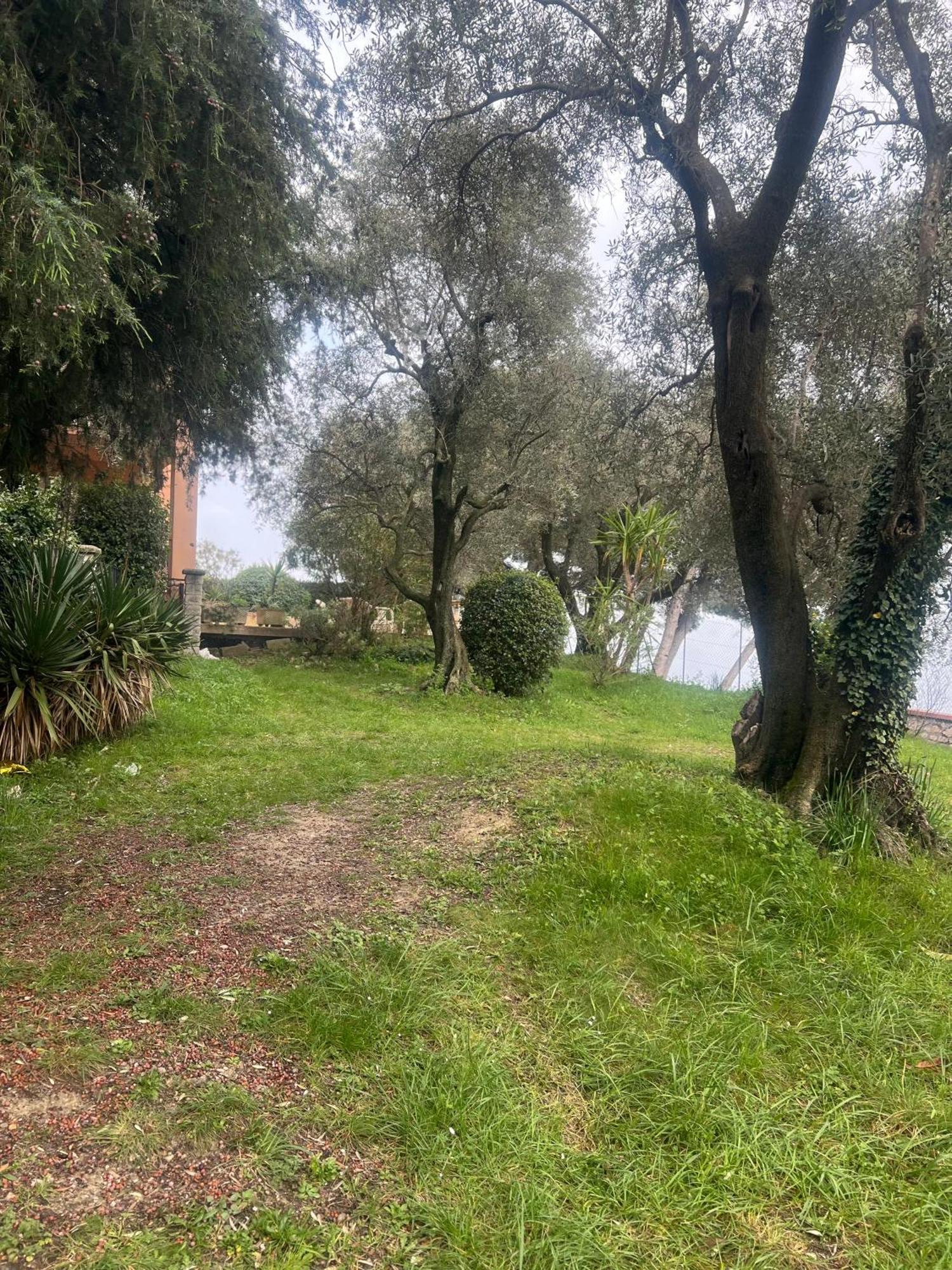 Bas De Villa Vue Mer Eze Village 외부 사진